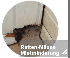 mietminderung-ratten-oder-maeuse